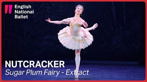 what is the meter of dance of the sugar plum fairy? What a delightful question! Let’s delve into the enchanting world of Tchaikovsky’s beloved ballet, “The Nutcracker,” and explore the intricate meters that make this iconic dance so mesmerizing.